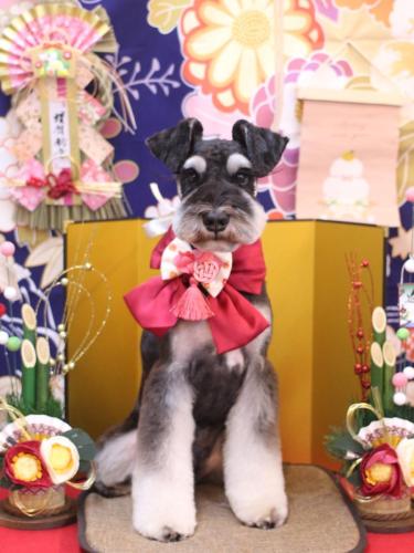 20240105ココくん